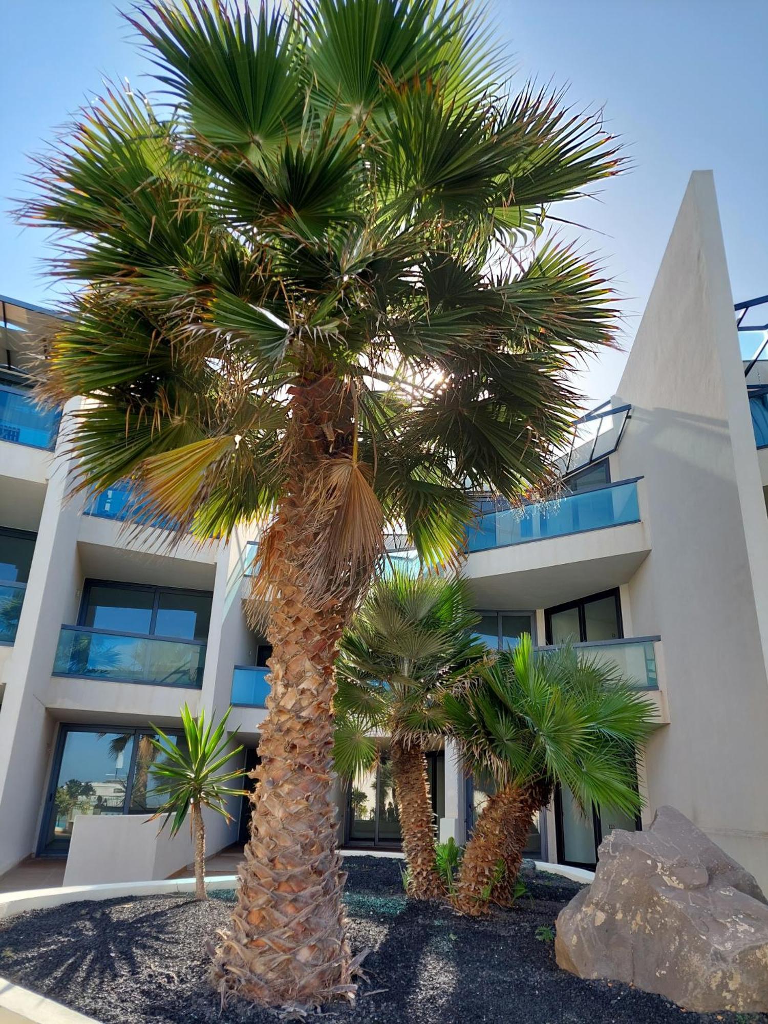 Sunset Spot Fuerteventura Cotillo Seaviews Premium מראה חיצוני תמונה